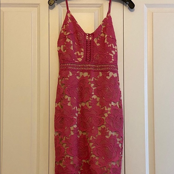 gianni bini camilla lace dress